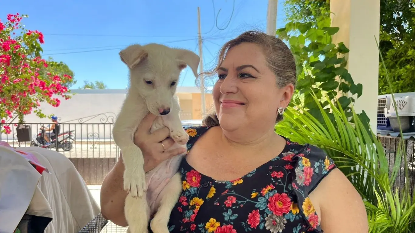 ¿Qué tipo de vida puede llevar un cachorro con tres patitas?. Foto: Daniel Rodríguez