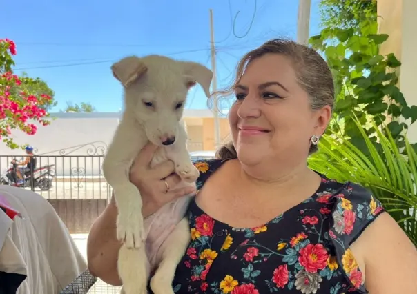 Perrito de tres meses perdió una patita y ahora solo quiere un hogar en Mérida