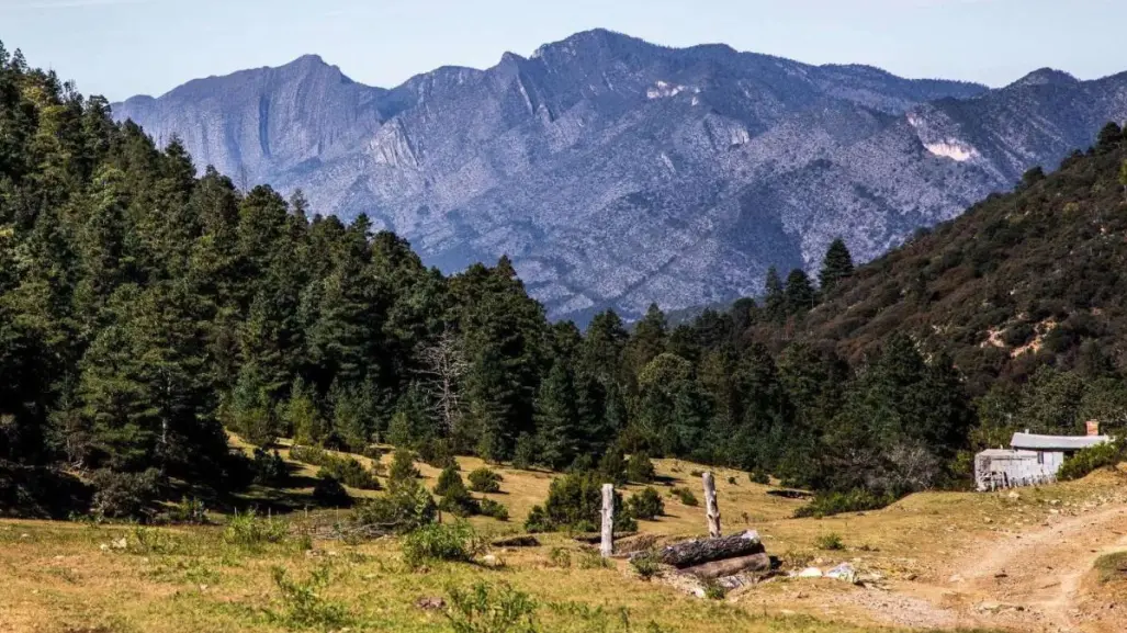 ¿Cuál es la colonia más antigua de Arteaga, Coahuila?