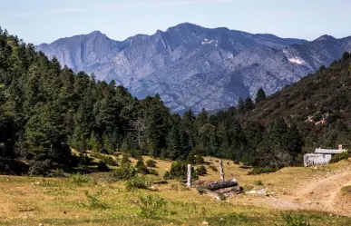 ¿Cuál es la colonia más antigua de Arteaga, Coahuila? 