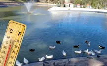 El calor en Durango no cesa, se espera un 17 de mayo con altas temperaturas