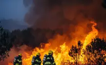 3 medidas para evitar incendios forestales según Pc de Tamaulipas