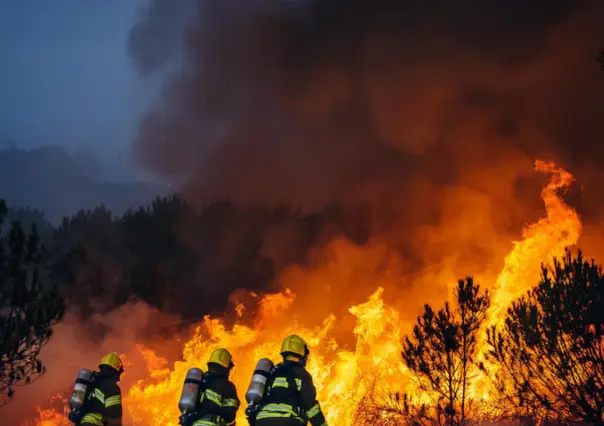 3 medidas para evitar incendios forestales según Pc de Tamaulipas