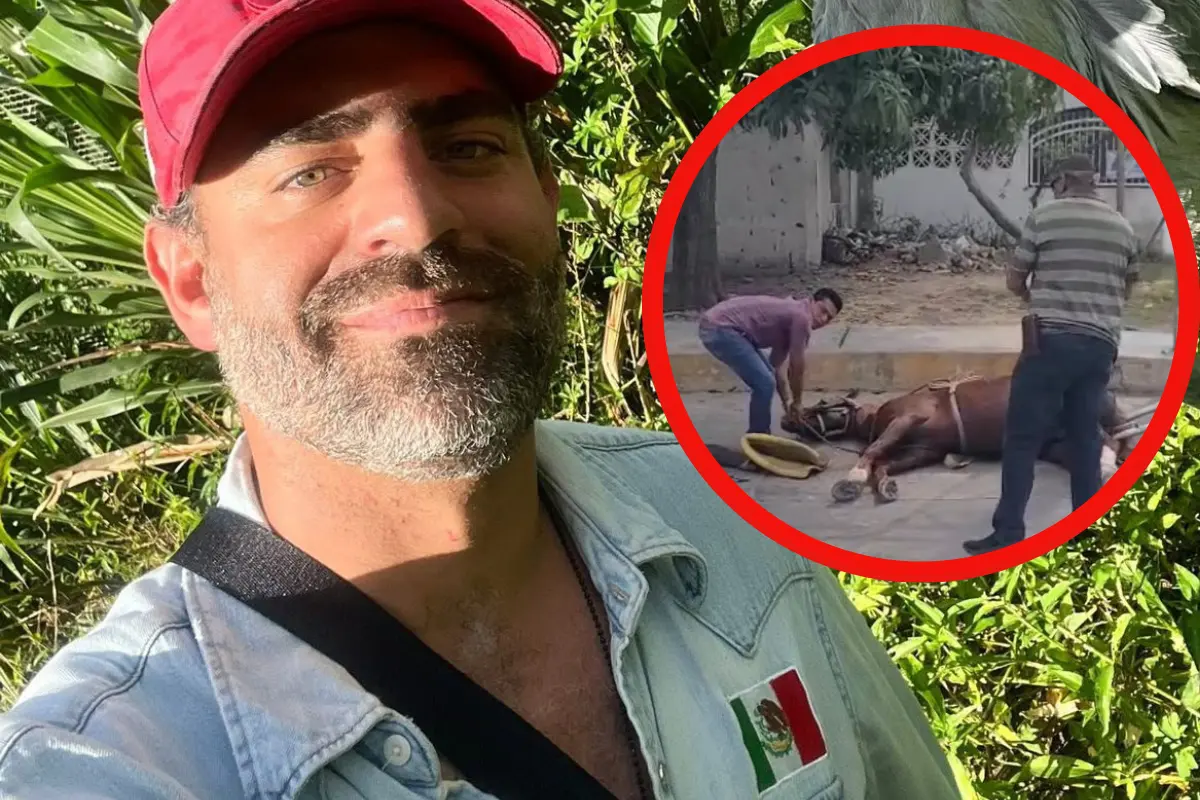 Arturo Islas exhibe maltrato animal en Tampico