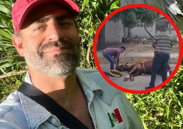 Arturo Islas exhibe maltrato animal en Tampico