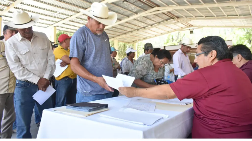 Registro semilla de calidad: estos son los requisitos