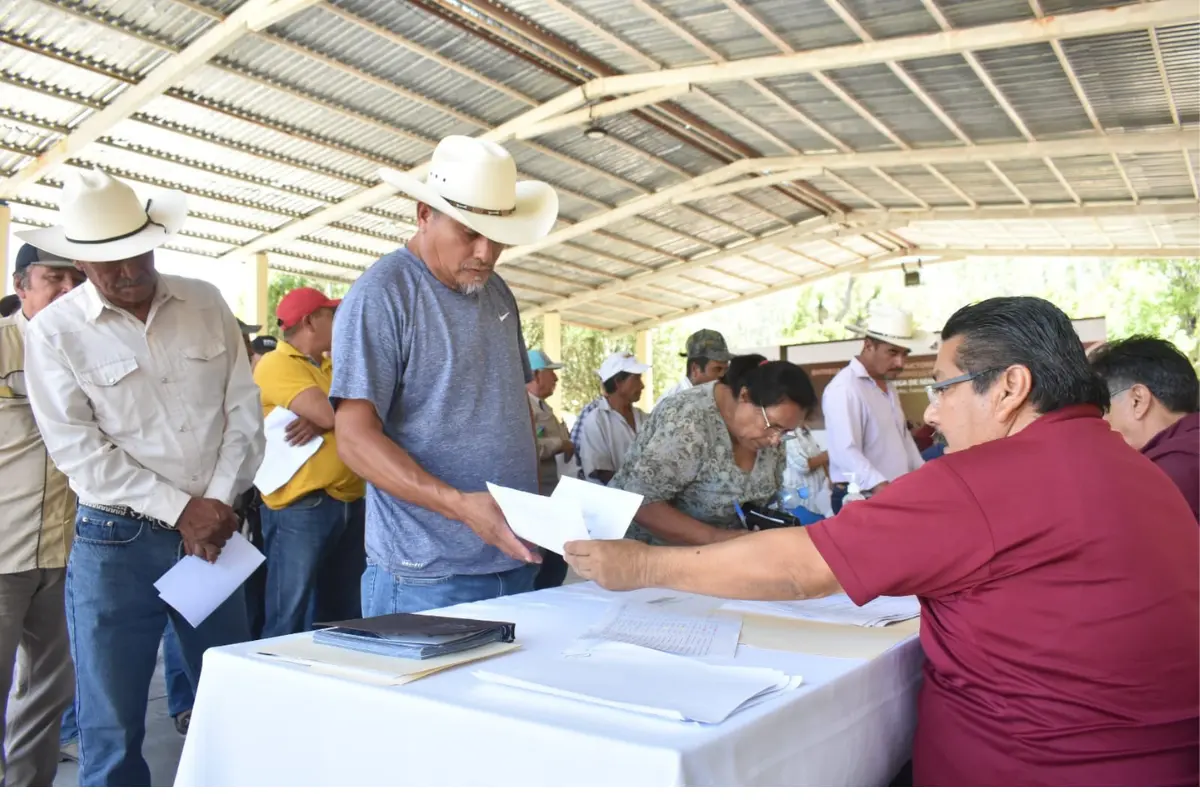 Recepción de documentos para semilla de calidad