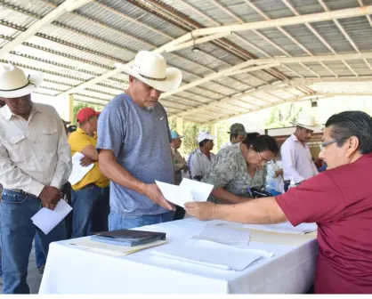 Registro semilla de calidad: estos son los requisitos