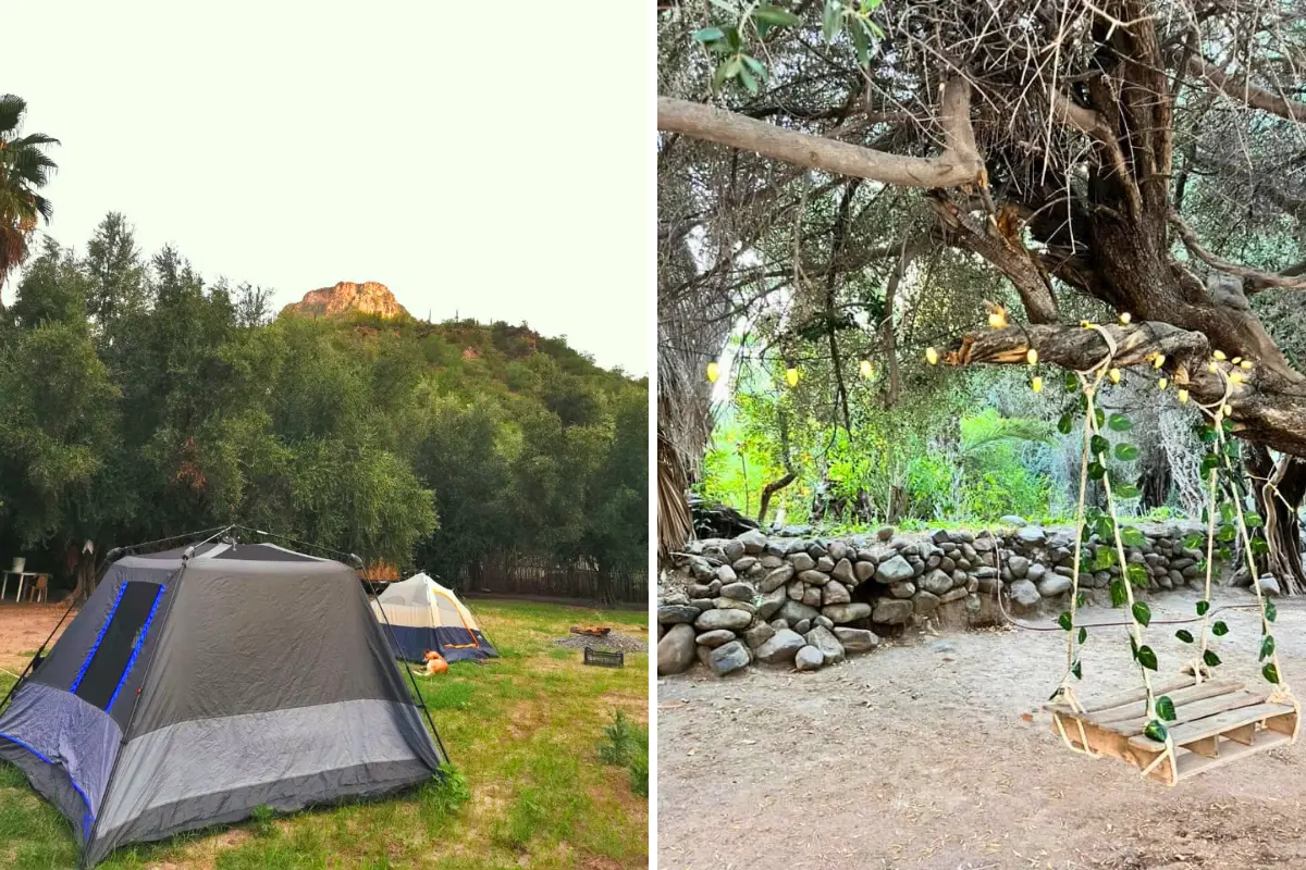 Foto: Huerta El Olivar