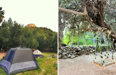 Huerta El Olivar: así es el hospedaje rústico junto al olivo de 300 años en San Javier