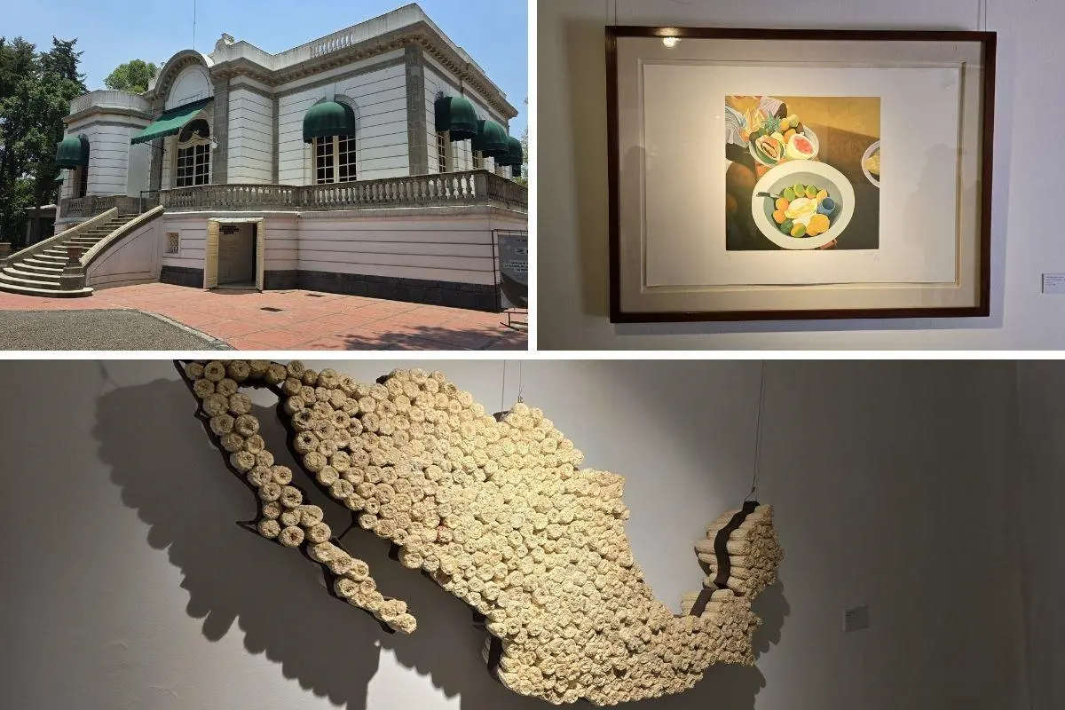 Casa del Lago UNAM, Exposición “Conocer el mundo con la boca, sin que te piquen las espinas”. Foto: Mario Flores | Canva