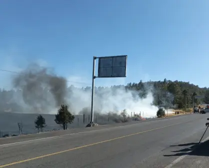 Incendios forestales alcanzan 51 mil hectáreas de Durango, ¿a cuánto equivale esta superficie?