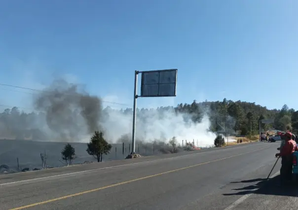 Incendios forestales alcanzan 51 mil hectáreas de Durango, ¿a cuánto equivale esta superficie?
