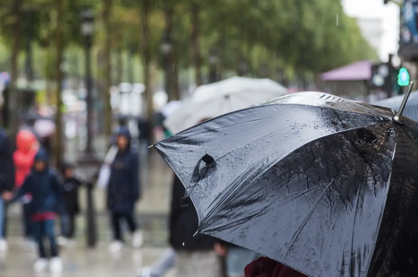 Imagen ilustrativa lluvia en la CDMX. Foto: Canva