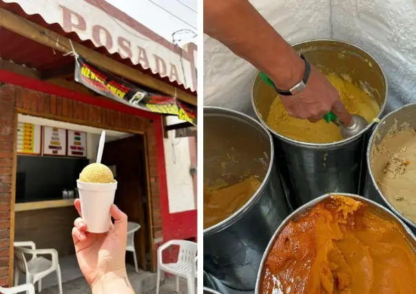 5 cosas que no sabías sobre nieves chepo en Torreón