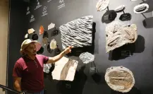 Del Big Bang al bolero: dos museos que no te puedes perder en Yucatán