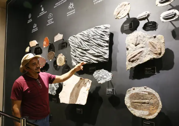 Del Big Bang al bolero: dos museos que no te puedes perder en Yucatán