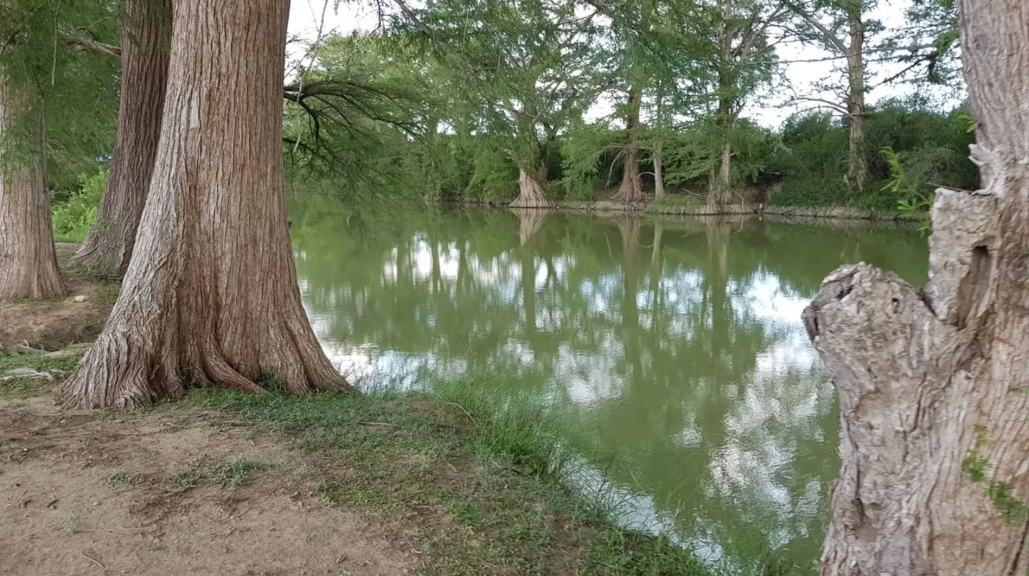 El río Sabinas ha provocado diversas inundaciones. (Fotografía: All Trails)