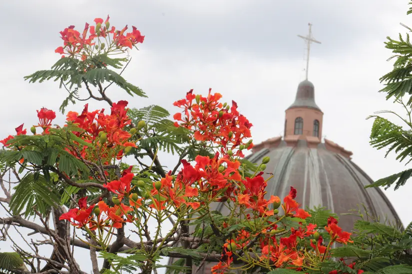 Lluvia en La Paz. Foto: Modesto Peralta Delgado.