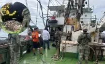 Aseguran embarcación con más de 60 tiburones en aguas de Mulegé