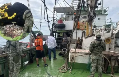 Aseguran embarcación con más de 60 tiburones en aguas de Mulegé