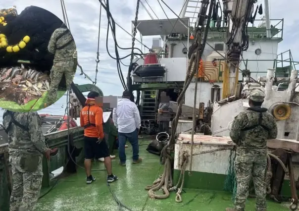 Aseguran embarcación con más de 60 tiburones en aguas de Mulegé