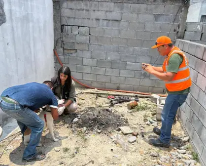 Félix Arratia encabeza acción contra maltrato animal en colonia de Juárez