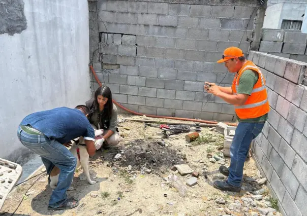 Félix Arratia encabeza acción contra maltrato animal en colonia de Juárez