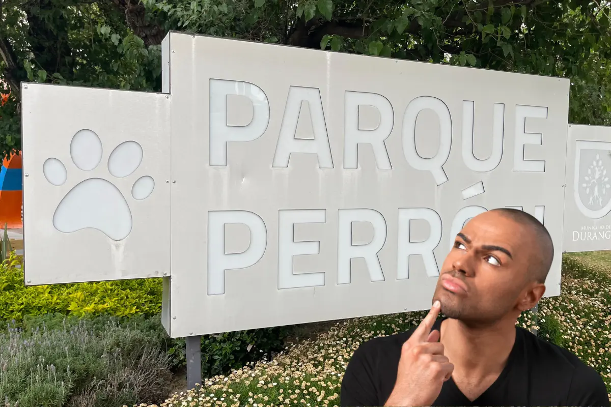 Se analizó la situación del Parque Perrón, ya que por el momento constituye un riesgo para la población. Foto: Especial.