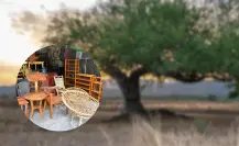 Estas son otros usos del mezquite en Tamaulipas 