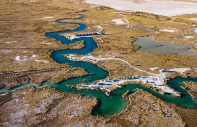 Este es el río de Coahuila con especies únicas en el mundo