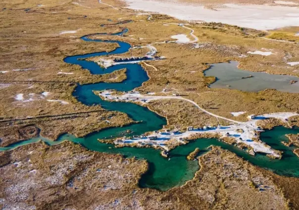 Este es el río de Coahuila con especies únicas en el mundo