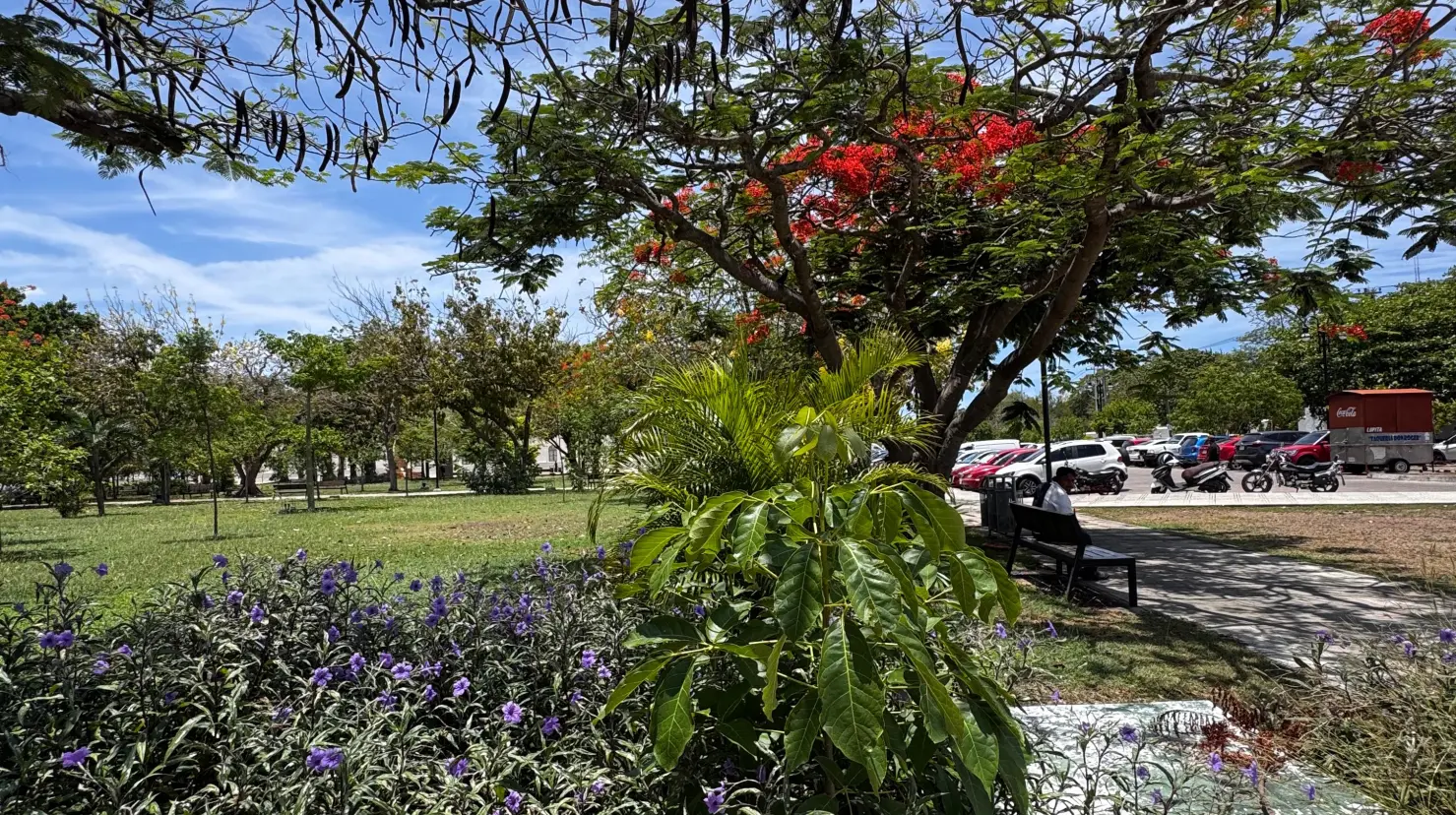 Los pronósticos indican que durante esta semana se seguirá la ola de calor en Yucatán pero habría tormentas durante este periodo.- Fuente Irving Gil