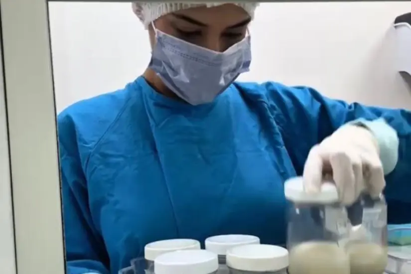 Se han pasteurizado más de 14 mil 125 millones de leche de donantes | Foto: SST