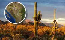 ¿Cuál es el desierto más grande en Coahuila? 