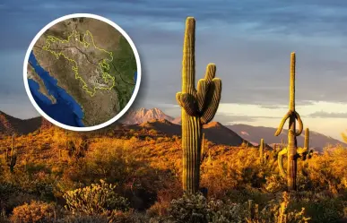 ¿Cuál es el desierto más grande en Coahuila? 