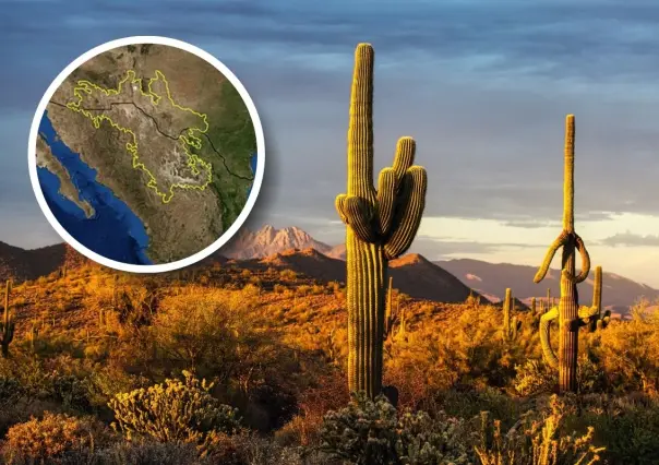 ¿Cuál es el desierto más grande en Coahuila? 