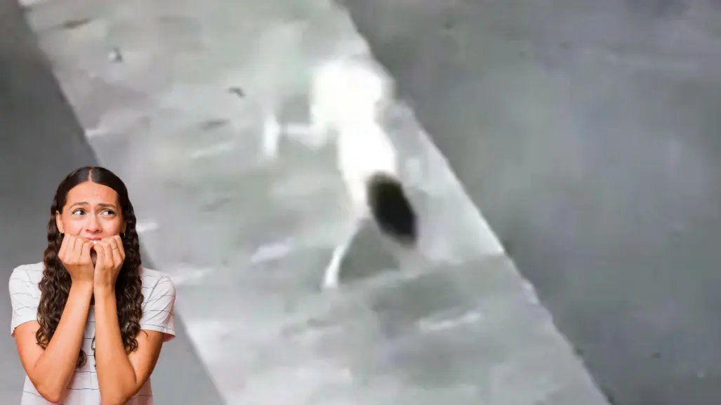 La leyenda de la niña perro es una historia popular en redes sociales, ¿la conoces?