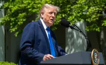 Donald Trump y Vladimir Putin hablarán sobre el conflicto en Ucrania este lunes