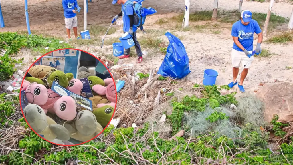 Compra una tortuga de peluche y ayuda a limpiar la playa La Pesca