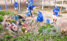 Compra una tortuga de peluche y ayuda a limpiar la playa La Pesca