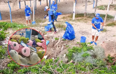 Compra una tortuga de peluche y ayuda a limpiar la playa La Pesca