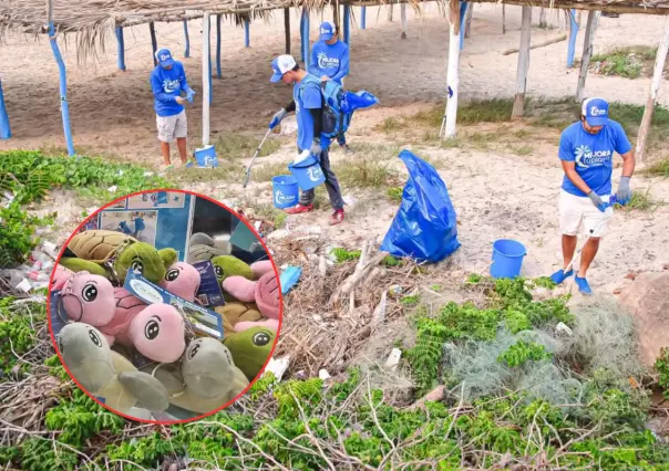 Compra una tortuga de peluche y ayuda a limpiar la playa La Pesca