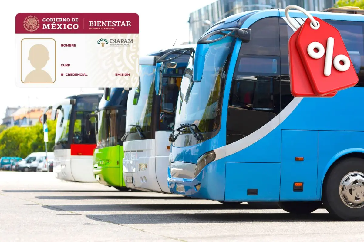 De fondo central de autobuses, tarjeta del INAPAM, logo de descuento. Foto: Gobierno de México | Canva