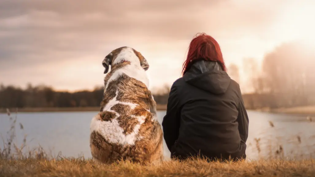 Esta raza de perro es perfecta como compañía para las mujeres viudas, según estudio