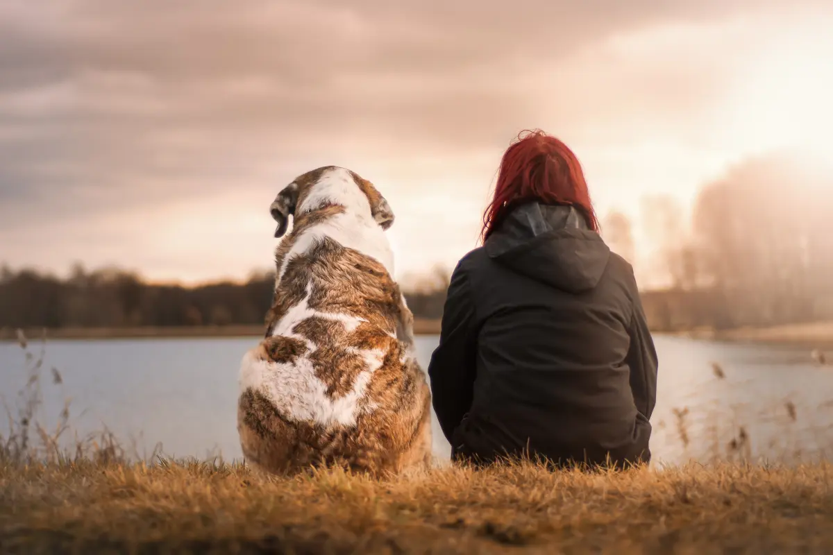 La pérdida de un compañero de vida puede ser abrumadora, pero un perro puede ofrecer un consuelo invaluable y compañía. Foto: Canva