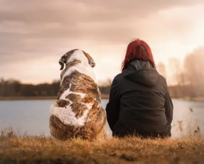 Esta raza de perro es perfecta como compañía para las mujeres viudas, según estudio
