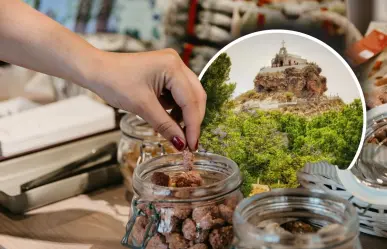 Este es el dulce nativo de Coahuila que previene enfermedades 