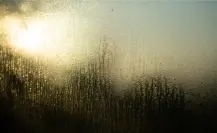 Pronostican lluvias para Tamaulipas pero persiste la onda de calor este 20 de mayo