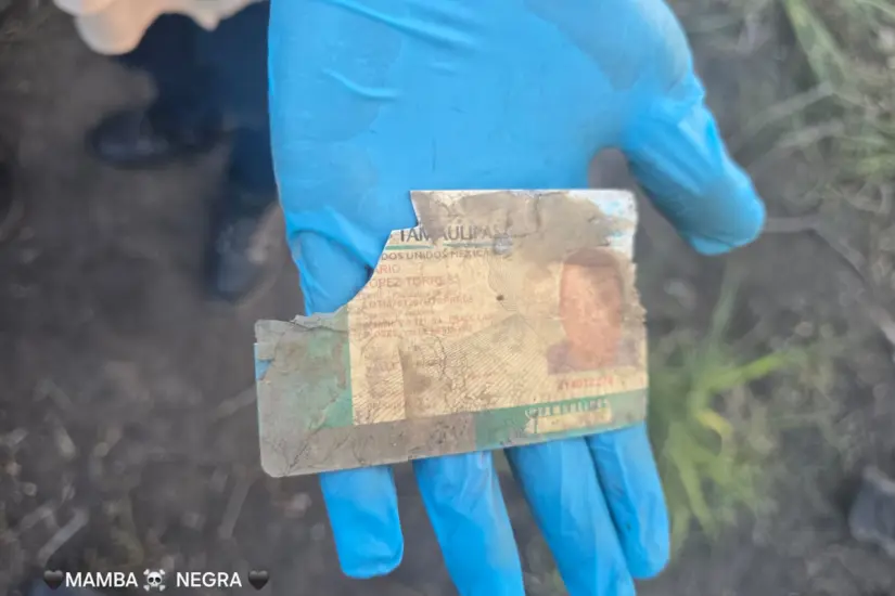 Identificación encontrada | Foto: Colectivo Amor por los Desaparecidos en Tamaulipas